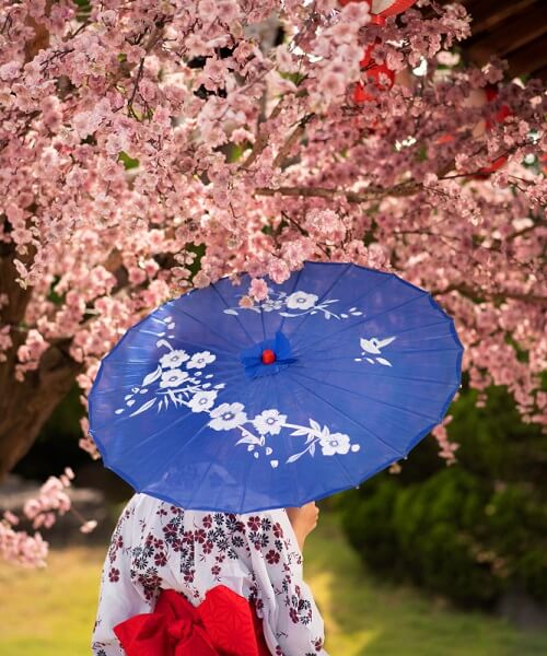 Japan Cherry Blossom Tours